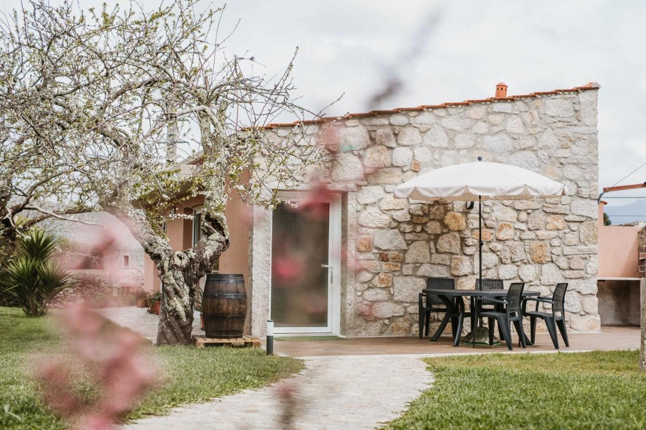 Forno House - Ameixoeira Віла-Прая-де-Анкора Екстер'єр фото